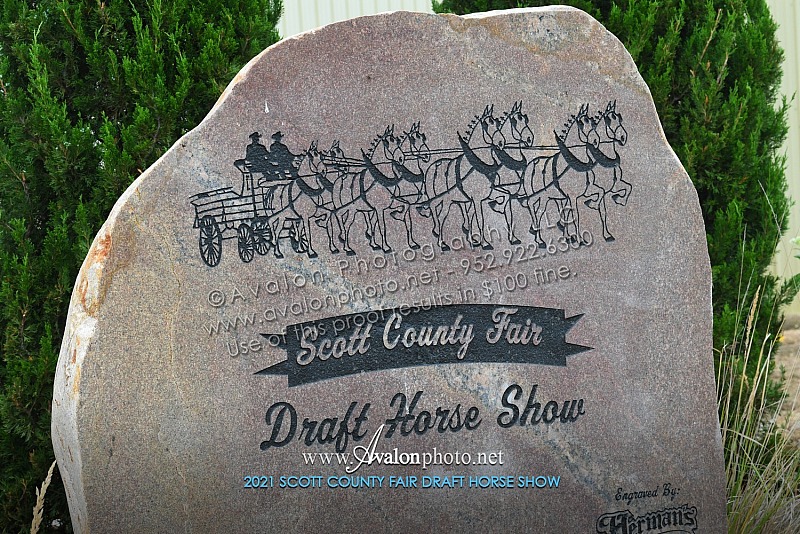 2021 Scott County Draft Horse Show