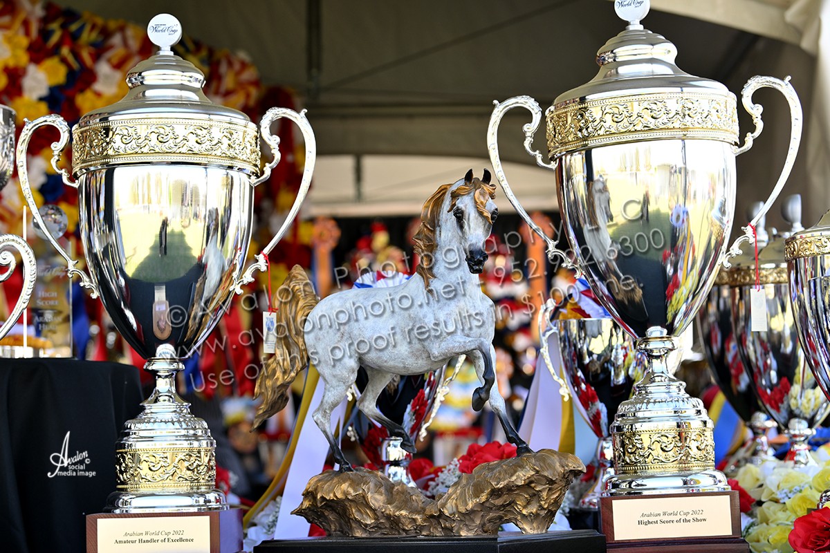 2022 Arabian Breeders World Cup HORSE SHOW PROOFS 2022 Horse Shows