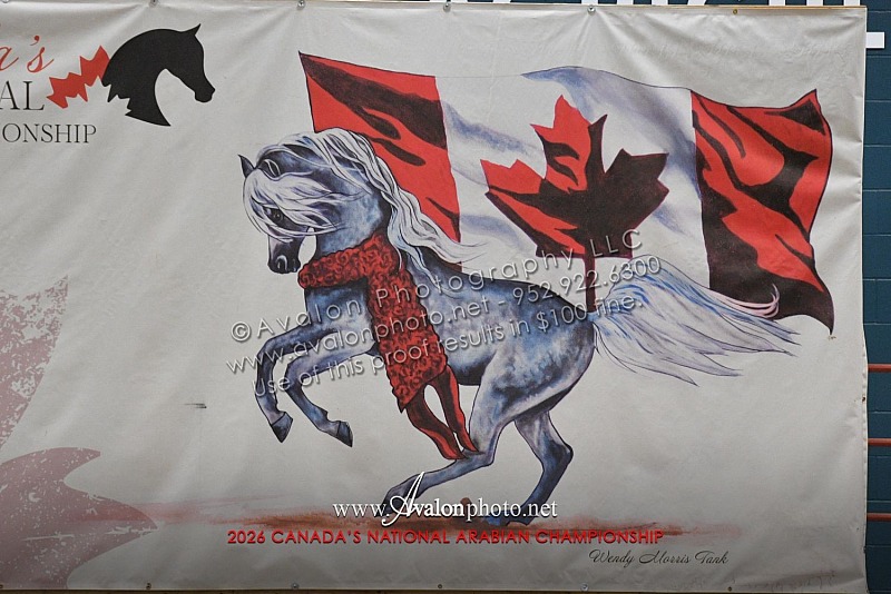 2026 Canada's National Arabian Championship
