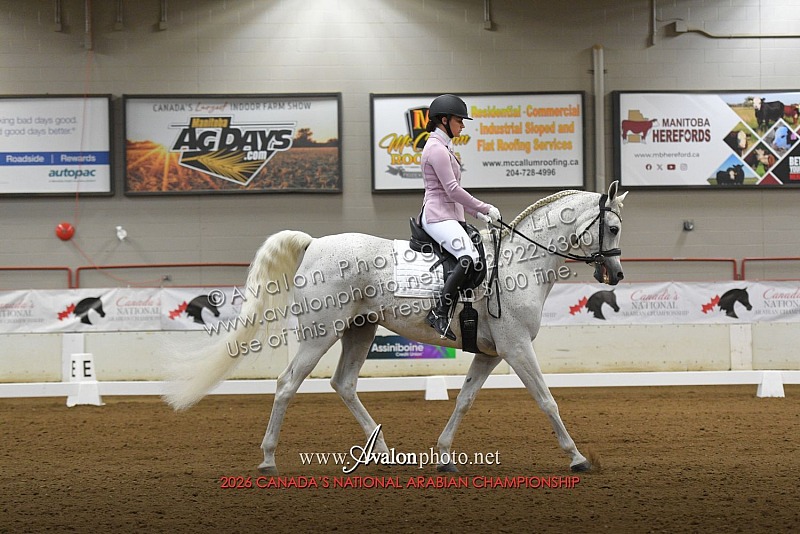 2026 Canada's National Arabian Championship